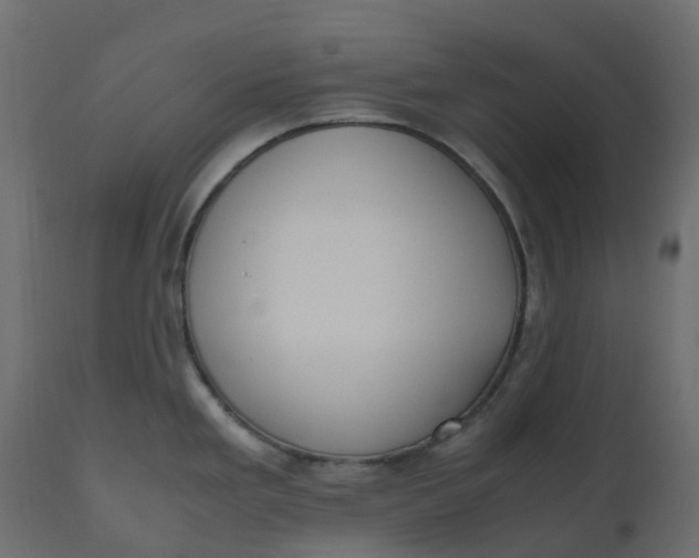 X0000110731293200906261510