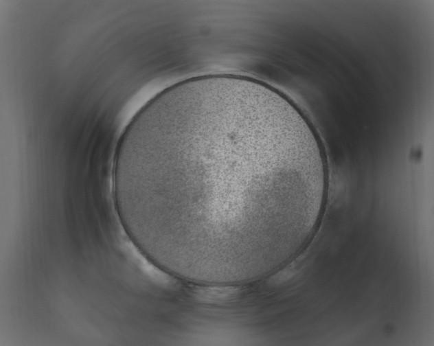 X0000110731294200906261510