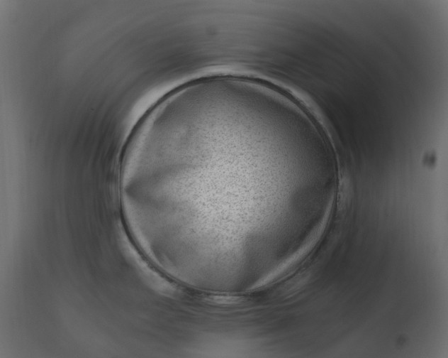 X0000110731295200906261510