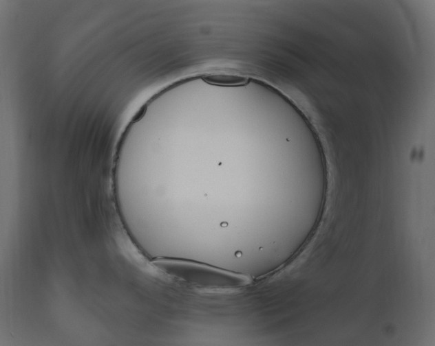 X0000110731296200906261510