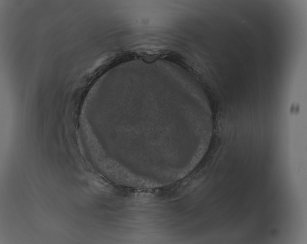 X0000110731297200906261509