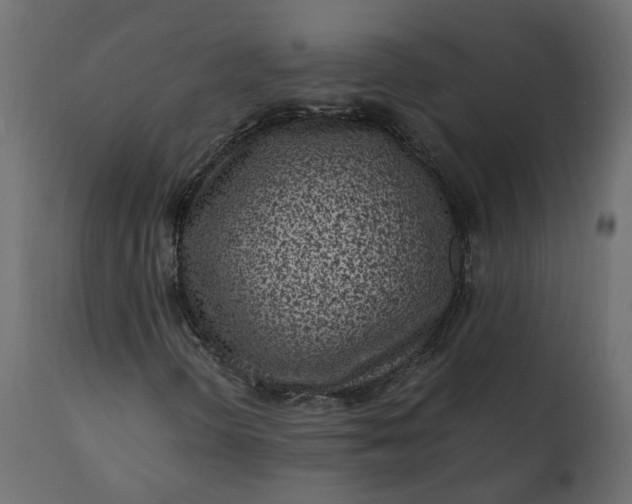 X0000110731298200906261509