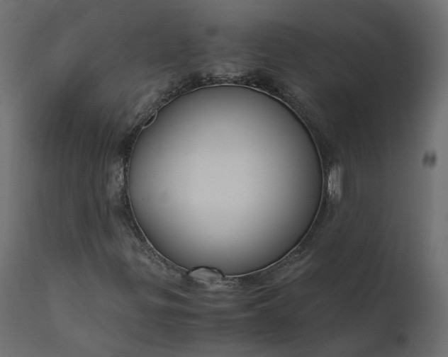 X0000110731299200906261509