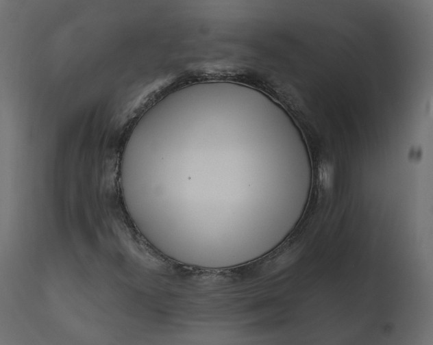 X0000110731300200906261509