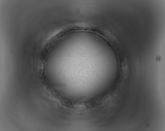 X0000110731302200906261509