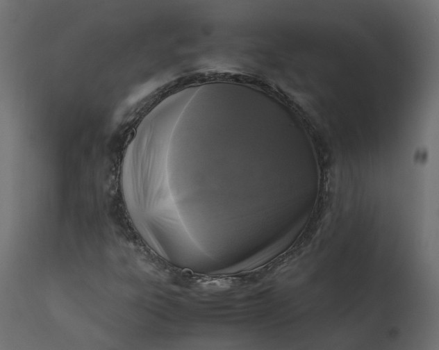 X0000110731303200906261509