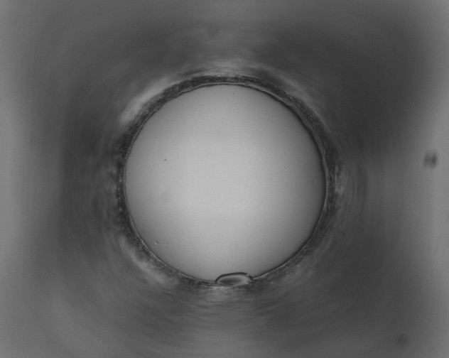 X0000110731304200906261509