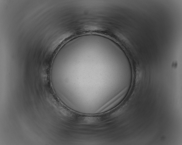 X0000110731305200906261509