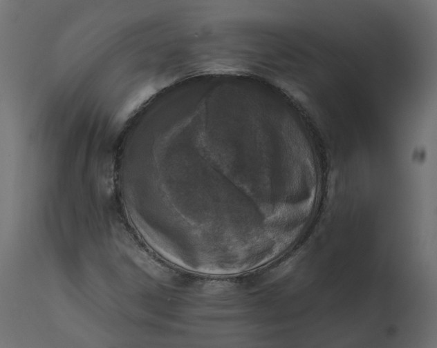 X0000110731306200906261509