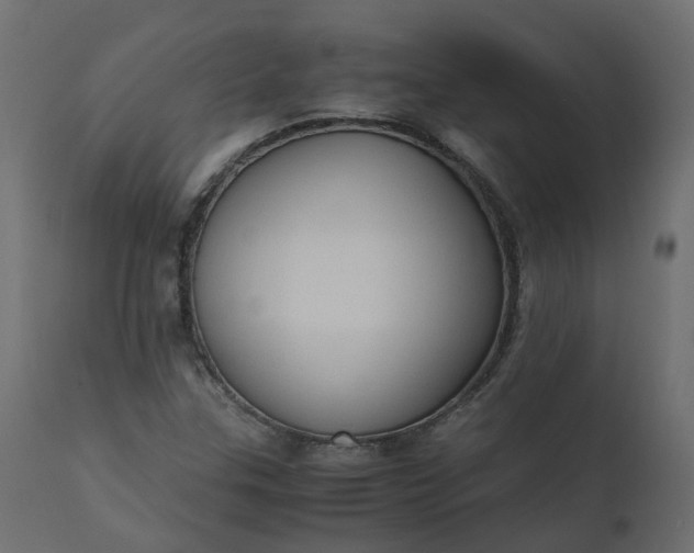 X0000110731307200906261509