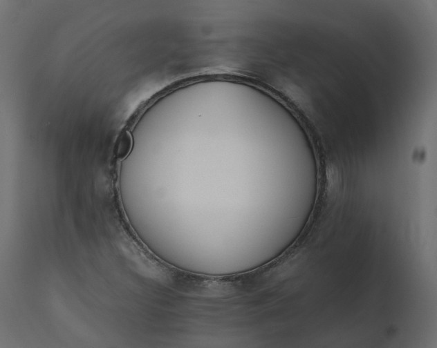 X0000110731308200906261509