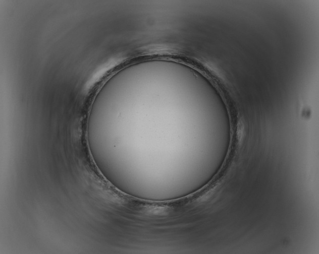 X0000110731309200906261509