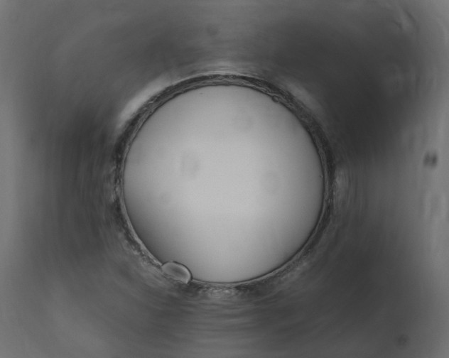 X0000110731310200906261509