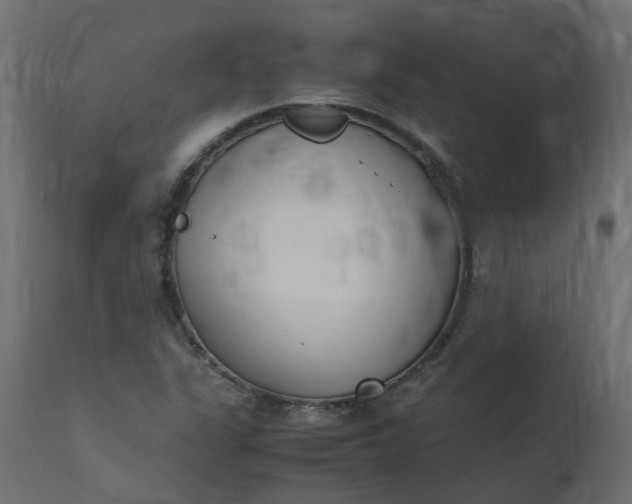 X0000110731311200906261509