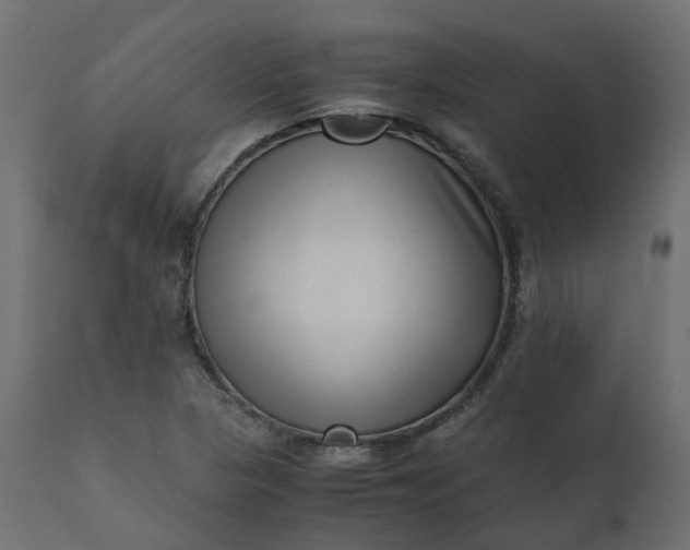 X0000110731313200906261509