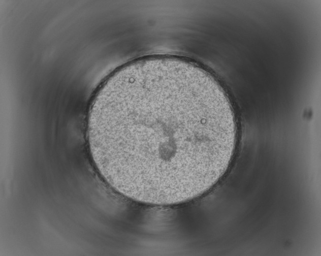 X0000110731314200906261509