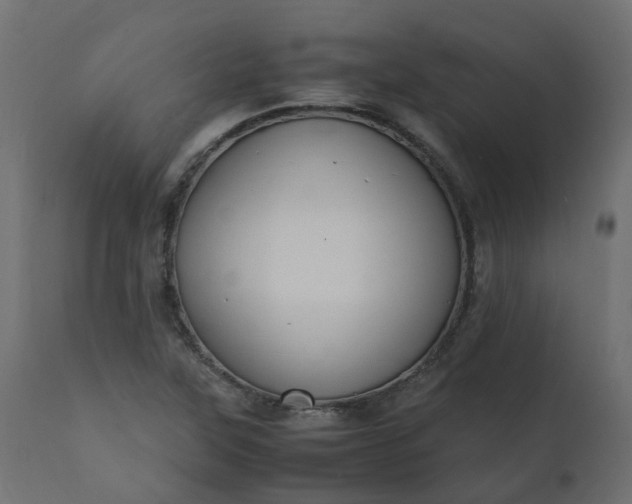 X0000110731315200906261509