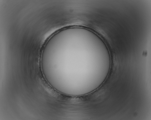 X0000110731316200906261509