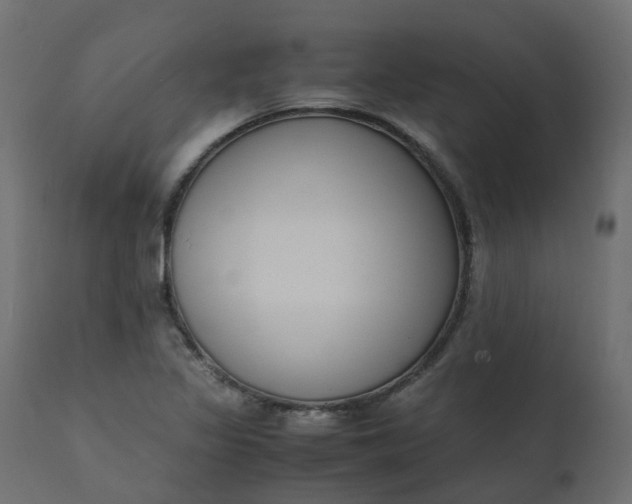 X0000110731317200906261509