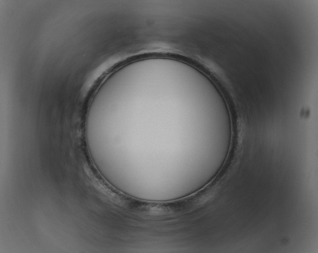 X0000110731318200906261509