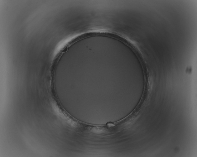 X0000110731319200906261509