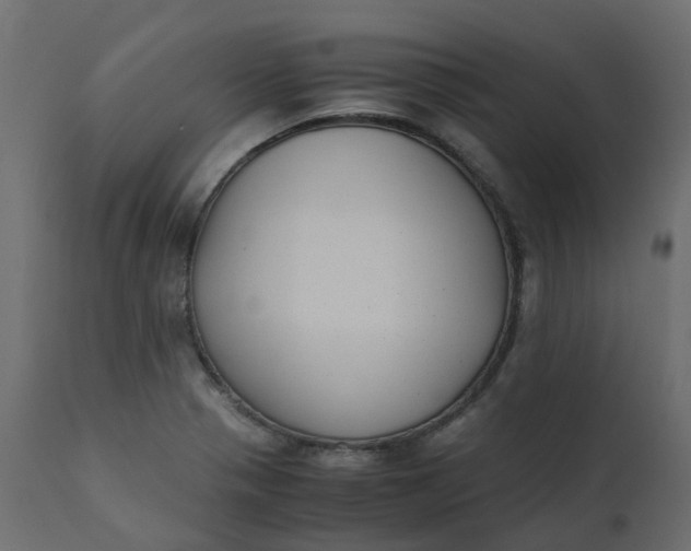 X0000110731321200906261509