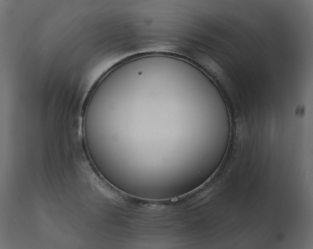 X0000110731324200906261509