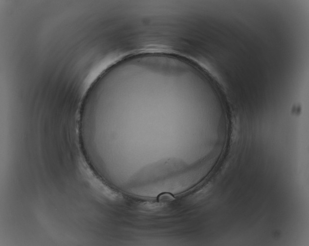 X0000110731325200906261509