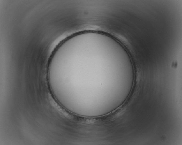 X0000110731326200906261509