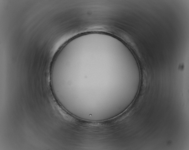 X0000110731328200906261509