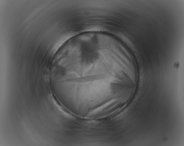 X0000110731329200906261509