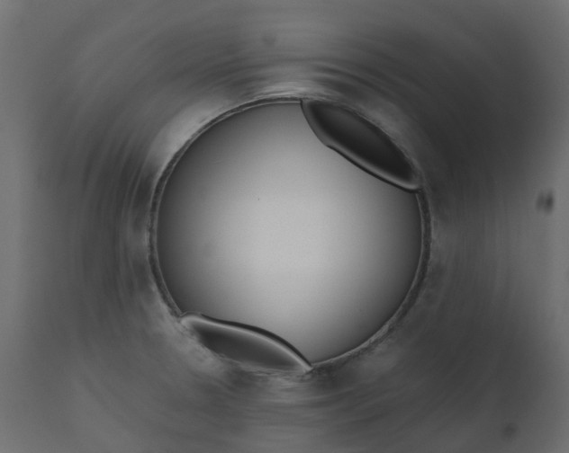 X0000110731330200906261509