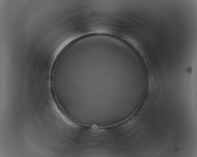 X0000110731331200906261509