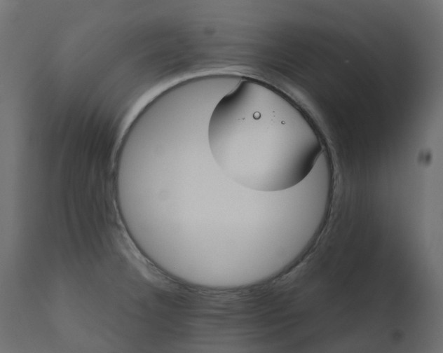 X0000110731332200906261509