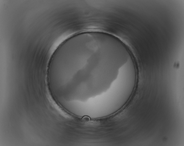 X0000110731333200906261509