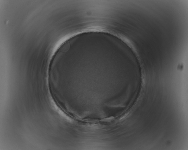 X0000110731334200906261510