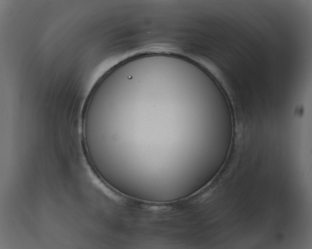 X0000110731335200906261510