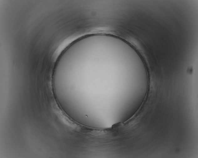 X0000110731336200906261510