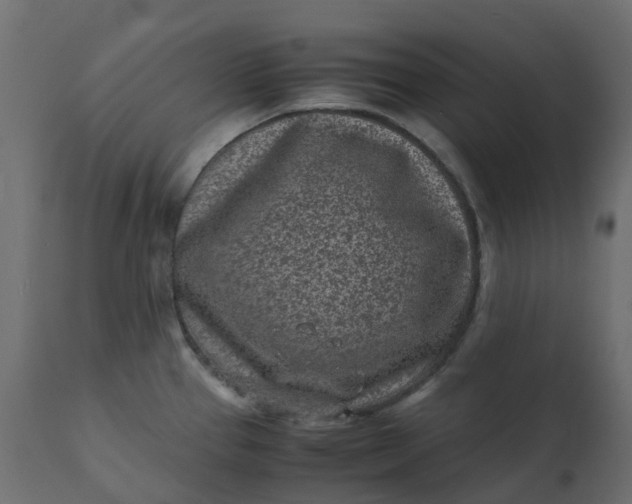 X0000110731337200906261510