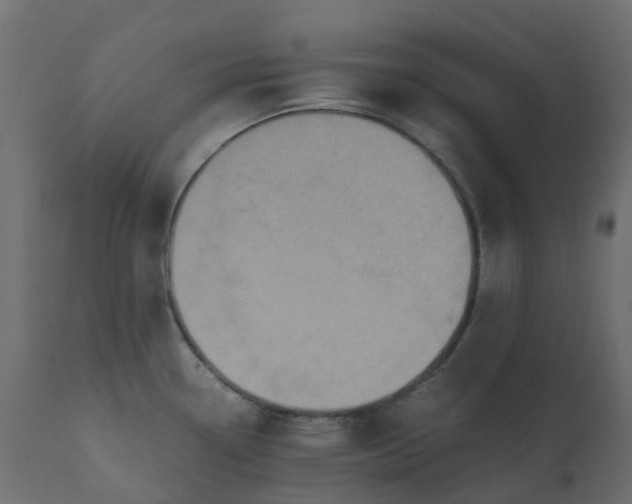 X0000110731338200906261510