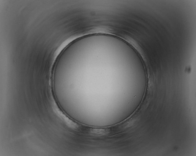 X0000110731339200906261510