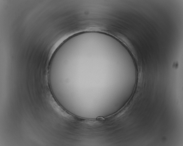 X0000110731340200906261510