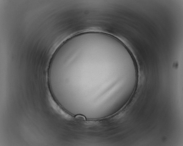 X0000110731341200906261510