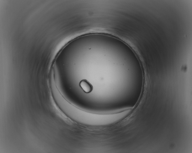 X0000110731342200906261510