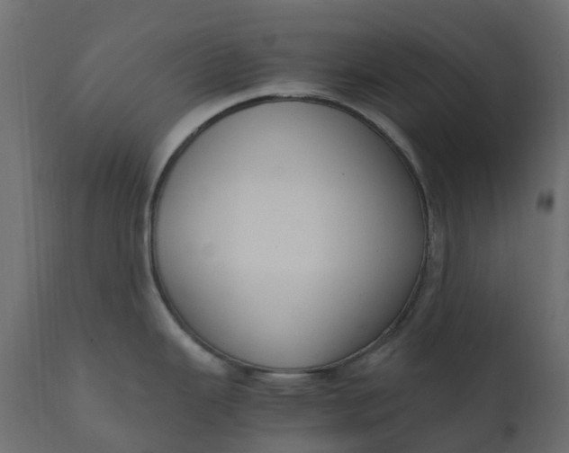 X0000110731343200906261510