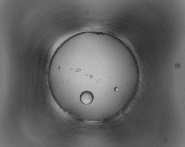 X0000110731344200906261510