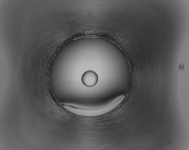 X0000110731345200906261509