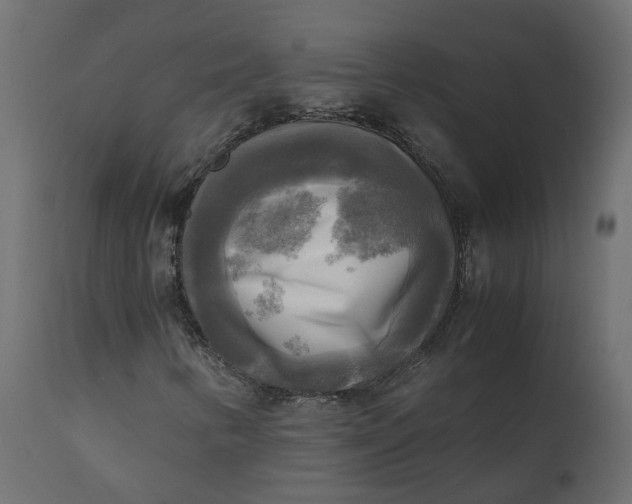 X0000110731346200906261509