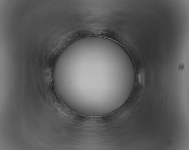 X0000110731347200906261509