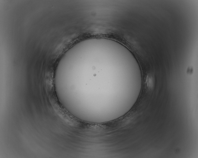 X0000110731348200906261509